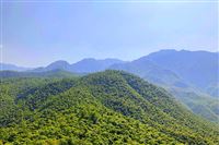 京东接受消费者监督 以百万元奖励重塑家电家居测评公信力