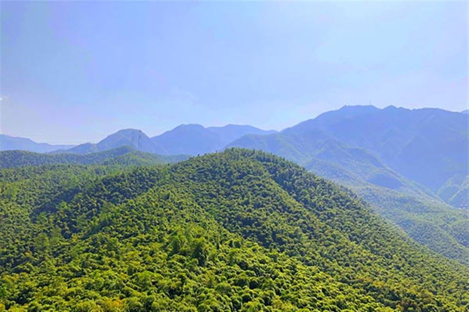 京东接受消费者监督 以百万元奖励重塑家电家居测评公信力