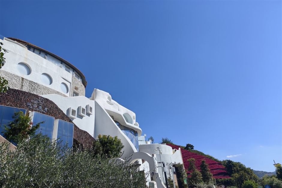 天津市商务局赴百利装备集团调研 深化政企合作 助力装备制造高质量发展