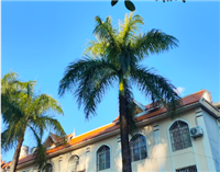 北京人形完成超7亿元市场化融资，具身天工3.0即将发布